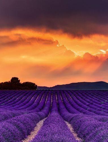 Hotel Le Relais Du Luberon Maubec  Bagian luar foto